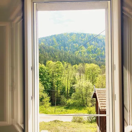 Le Grand Duc: Mountain View Apartment Near Gerardmer Rochesson Exterior photo