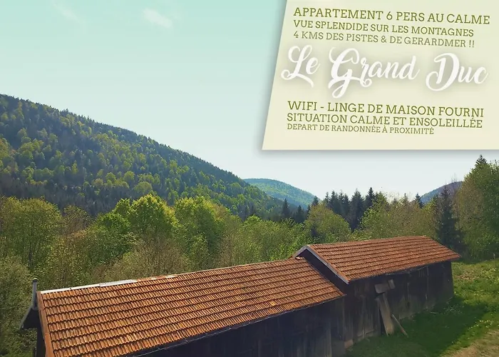⁂⁂ Le Grand Duc Appartement Cledicihome / Magnifique Vue Sur Les Montagnes / 4 Kms De Gerardmer ! ⁂⁂