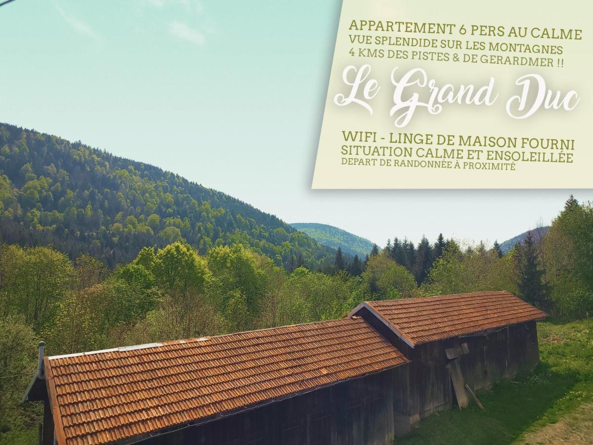 ⁂⁂ Le Grand Duc Cledicihome / Magnifique Vue Sur Les Montagnes / 4 Kms De Gerardmer ! ⁂⁂