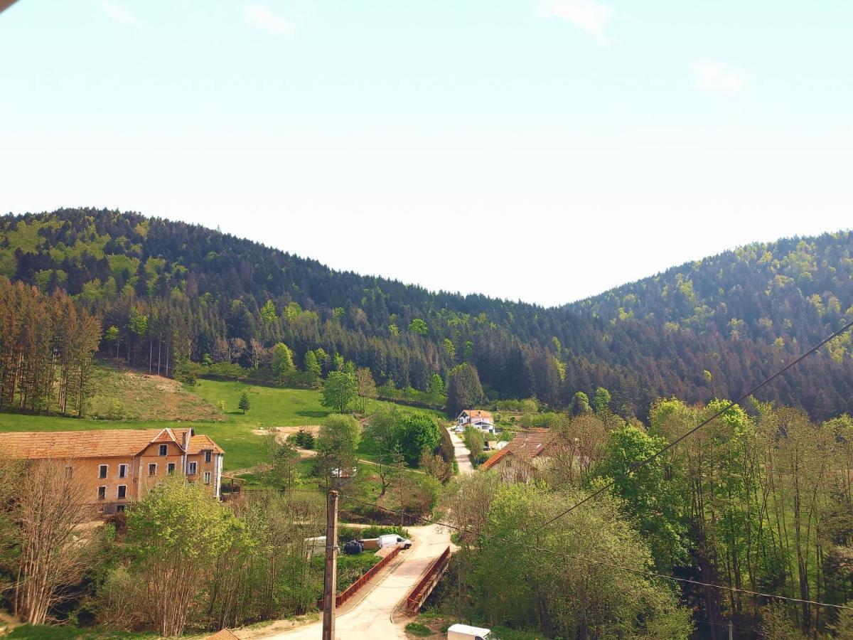 ⁂⁂ Le Grand Duc Cledicihome / Magnifique Vue Sur Les Montagnes / 4 Kms De Gerardmer ! ⁂⁂ Rochesson