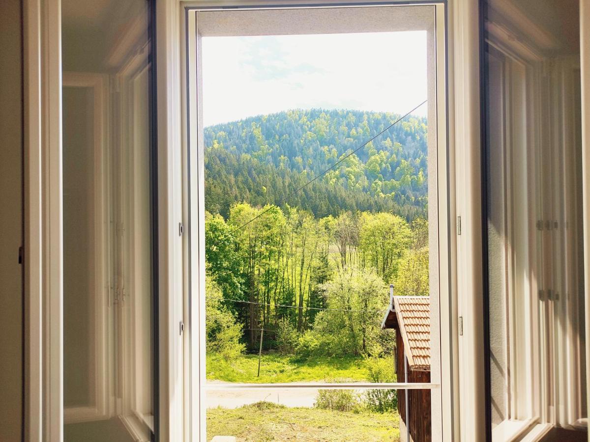 Le Grand Duc: Mountain View Near Gerardmer *