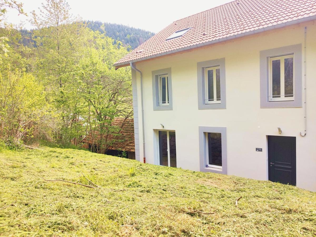 Apartment Le Grand Duc: Mountain View Near Gerardmer *